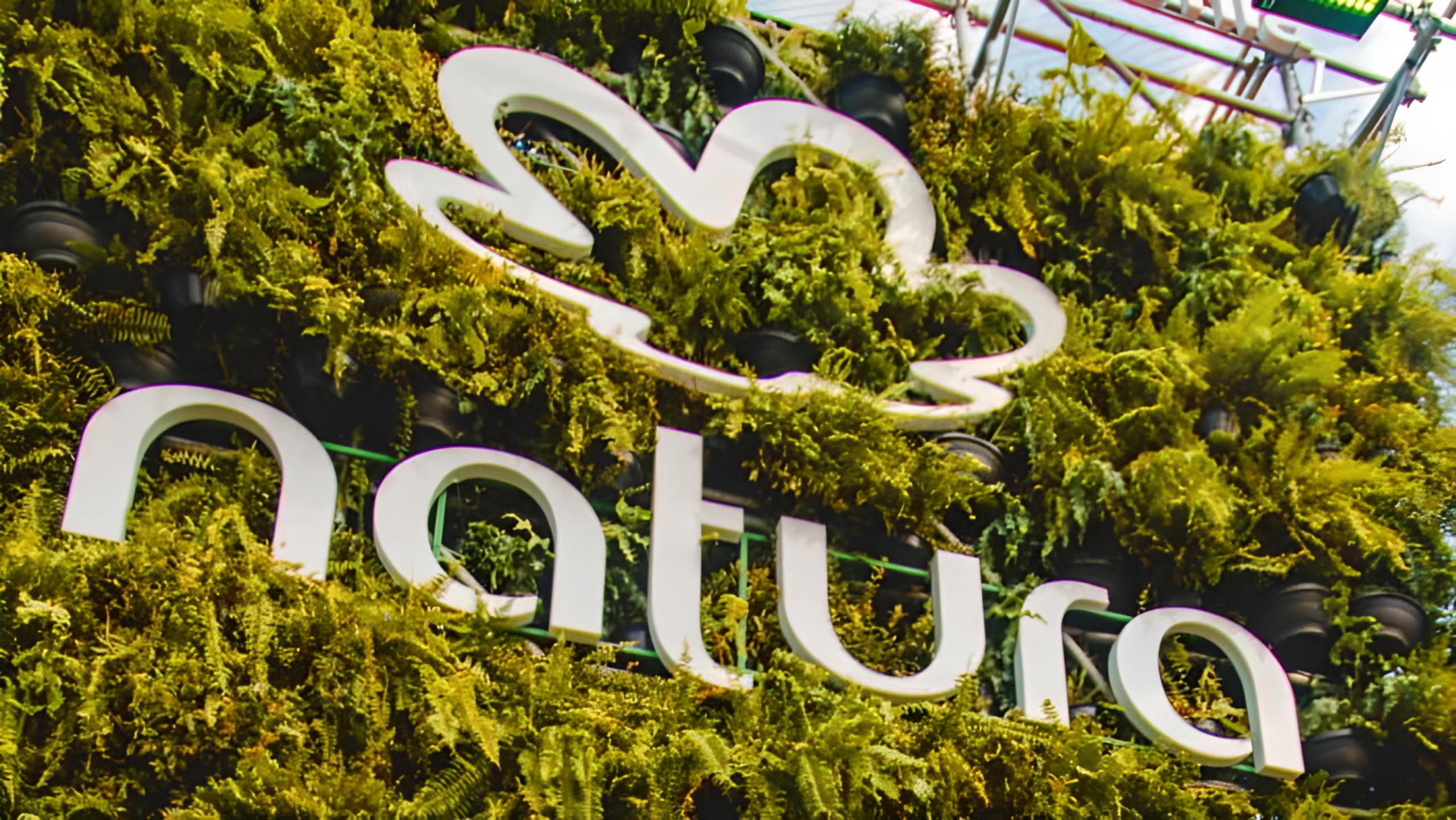 Natura (NTCO3)