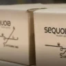 Sequoia