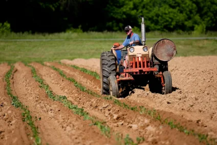 Foto: setor agrícola/Pexels