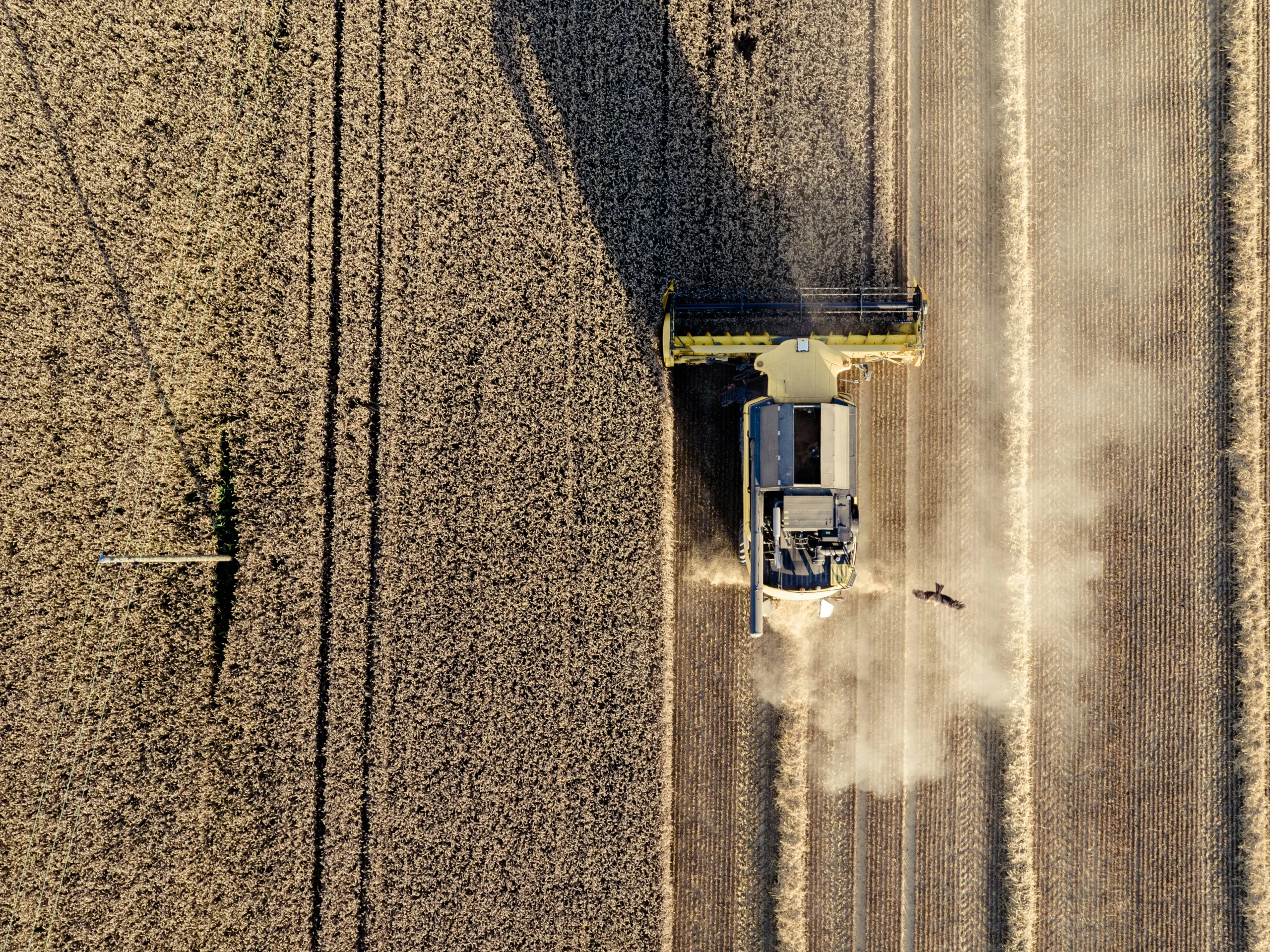 Foto: unsplash