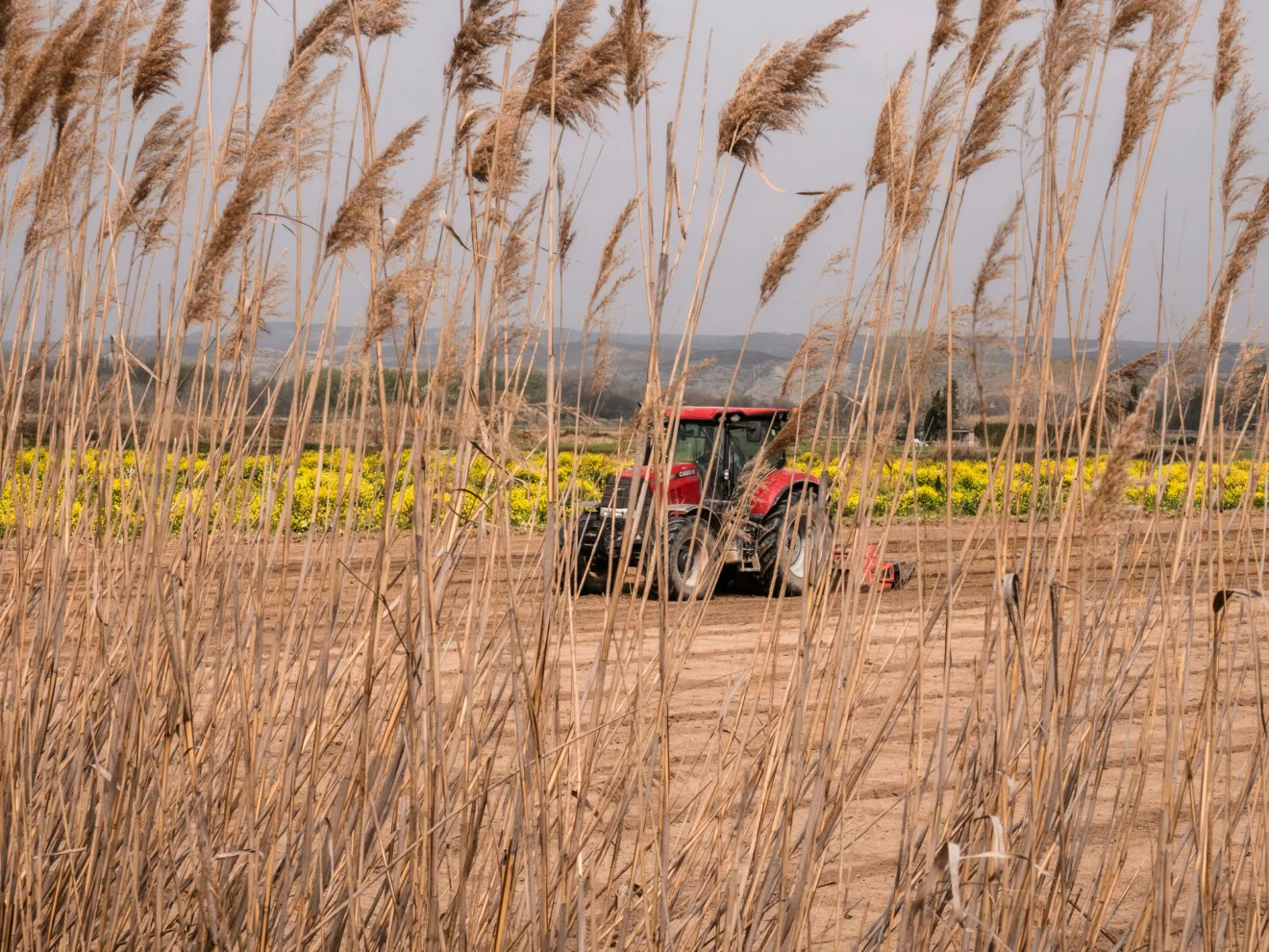 Foto: Unsplash / Agronegócio