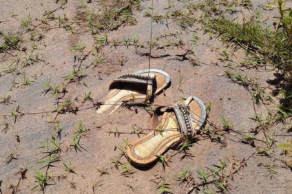 Tragédia em Mariana / Foto: Léo Rodrigues | Agência Brasil