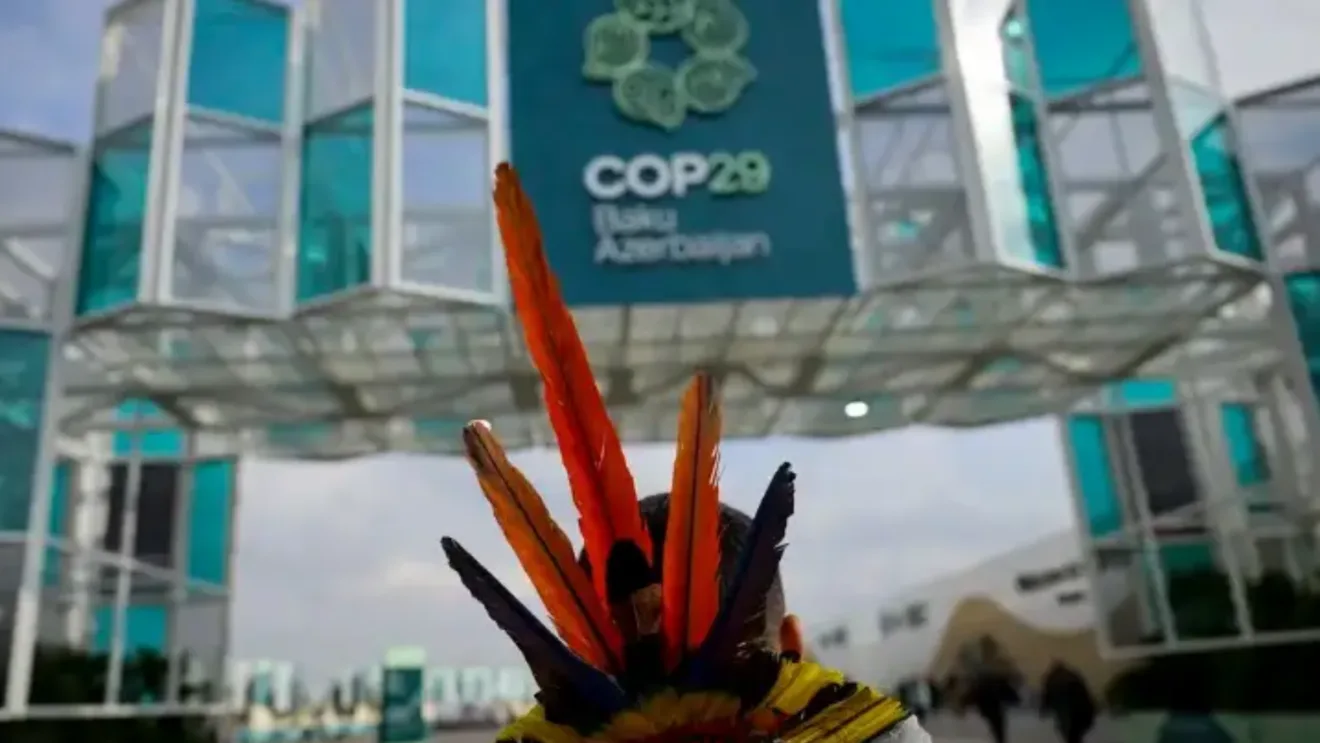 COP29