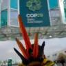 COP29