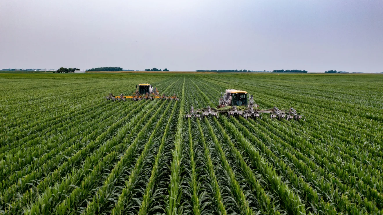 PIB do agro deve surpreender e retomar crescimento