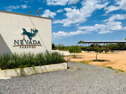 Grupo Nevada