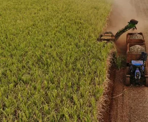 BrasilAgro