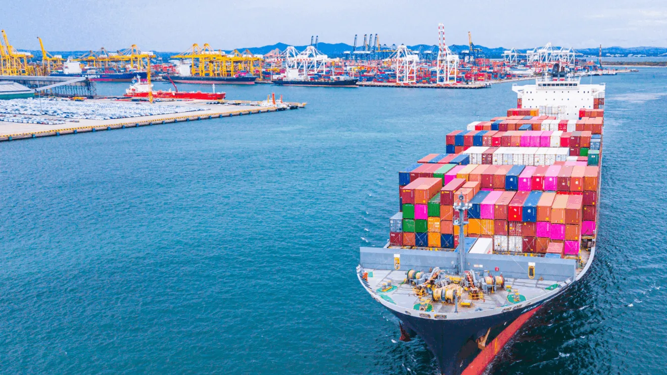 Foto: Exportações / CanvaPro