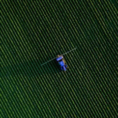 Foto: Unsplash