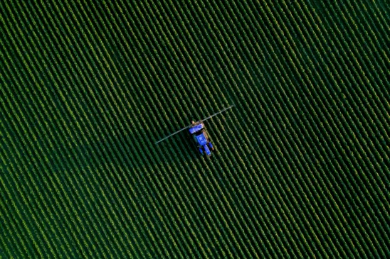 Foto: Unsplash