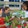 Foto: Portal Sebrae