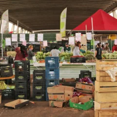 Em 2025, brasileiro teve que trabalhar 149 dias para pagar tributos. (Foto: Marcelo Lemes/Pexels)