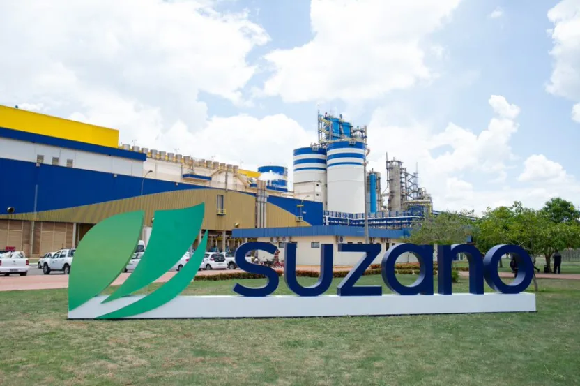 A Suzano é uma multinacional brasileira, atualmente líder no mercado de papéis higiênicos (Foto: reprodução/Suzano)