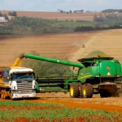 Plantação de Soja (Reproduçãp: Gilson Abreu/AEN-PR)