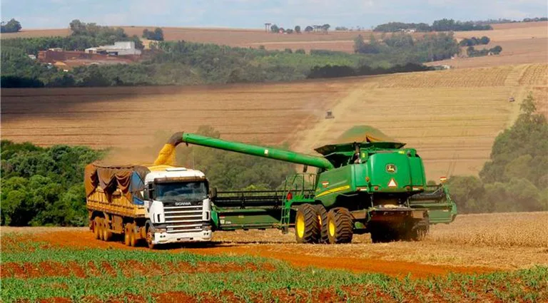 Plantação de Soja (Reproduçãp: Gilson Abreu/AEN-PR)