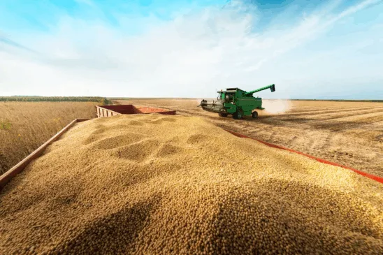 (Produção de soja / Foto: Ouro Safra/Divulgação)
