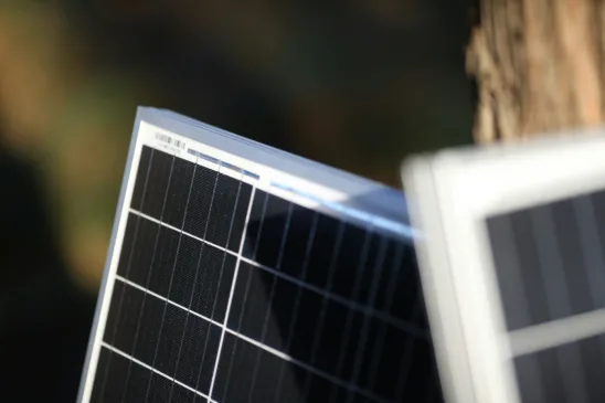 As empresas terão acesso a crédito na compra de equipamentos e insumos como biocombustíveis, energia solar, éolica e biomassa (Foto: Newpowa/Unplash)
