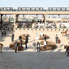 O GCAT celebra a cultura do cavalo árabe, reunindo criadores, marcas de luxo e premiando animais de várias idades (Stefano Grasso/GCAT Ambiance/Divulgação)