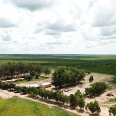 Fazenda Preferência (Foto: reprodução/TheAgriBiz)