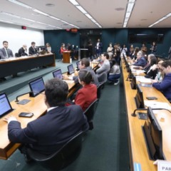 Foto: Vinicius Loures / Câmara dos Deputados