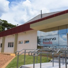 (Foto: Divulgação/Minerva)