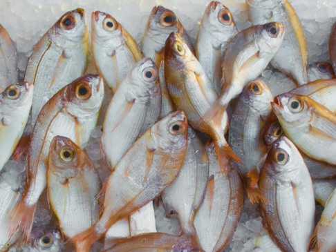 Pescado (Foto: Mali Maeder/Pexels)