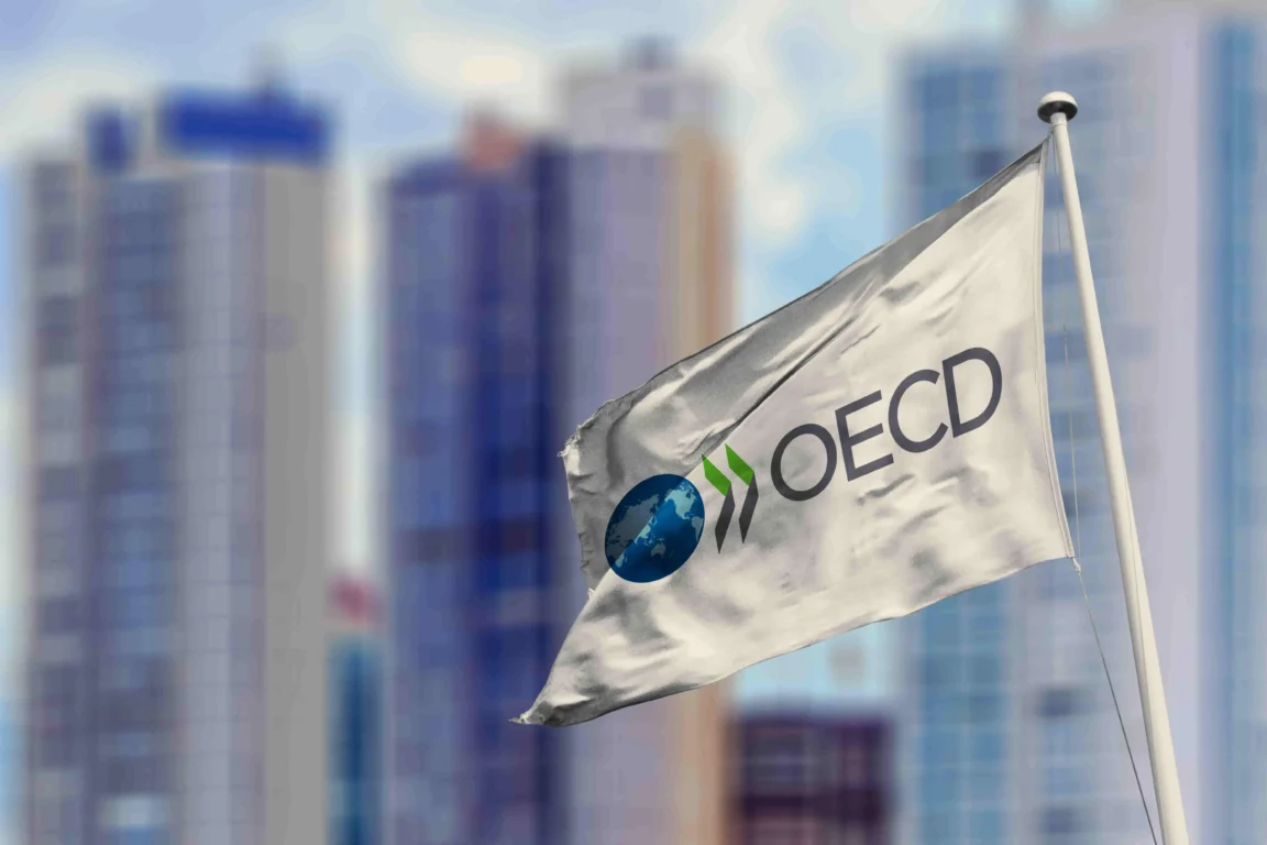 Bandeira da OCDE (Foto: reprodução/InfoMoney)
