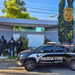 Operação Falso Fdic pegou esquema bilionário interestadual (Foto: reprodução/ PCDF)