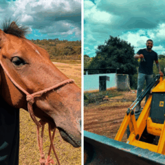 Ex-BBB, Davi Brito, anuncia novo investimento no agro (Foto: reprodução/Instagram)