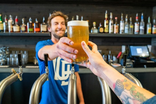  A média nacional é de uma cervejaria para cada 109.073 habitantes (Foto: ELEVATE/Pexels)