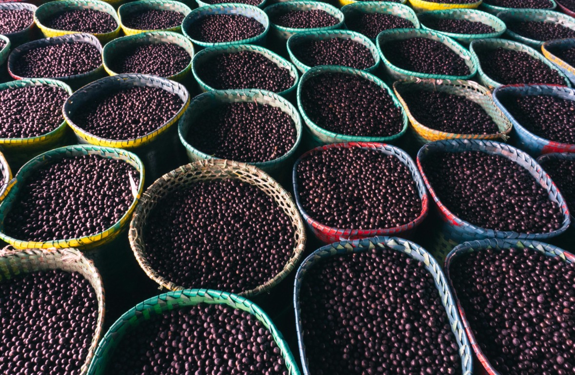 Açaí está entre os itens listados