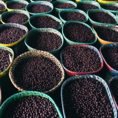 Açaí está entre os itens listados