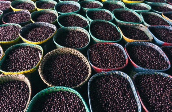Açaí está entre os itens listados