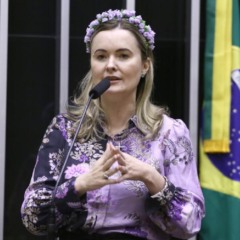 Foto: Vinicius Loures / Câmara dos Deputados