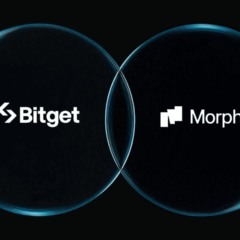 Bitget torna BGB token de gás da Morph; entenda
