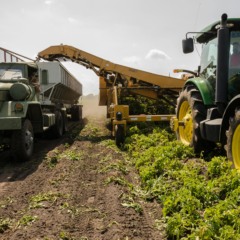 agricultural, agro, plantação