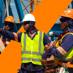 Divulgação: Azevedo & Travassos
