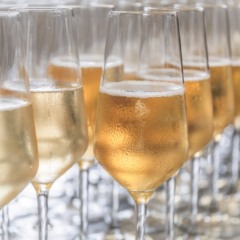 Foto: Shutter/Reprodução Foto: Shutter/Reprodução