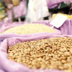 feijão, agro