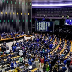 Planário da Câmara dos Deputados (Foto: Reprodução)