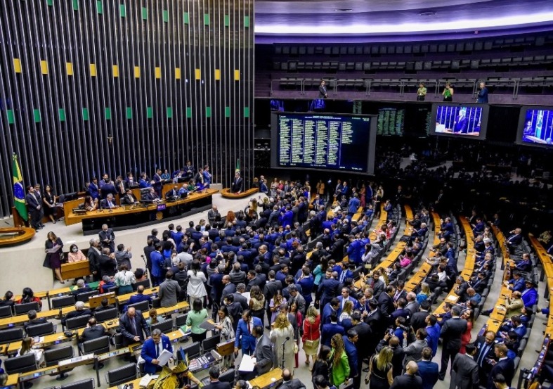 Planário da Câmara dos Deputados (Foto: Reprodução)