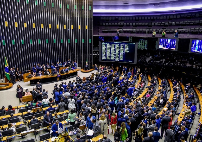 Planário da Câmara dos Deputados (Foto: Reprodução)