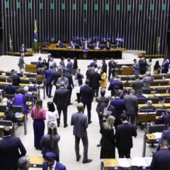 Foto: Vinicius Loures/Câmara dos Deputados