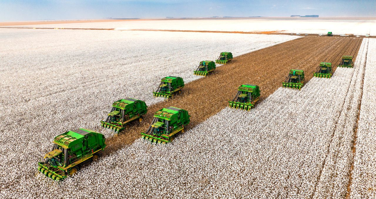 Foto: Divulgação Foto: Divulgação