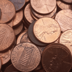 Foto: Reprodução Pixabay