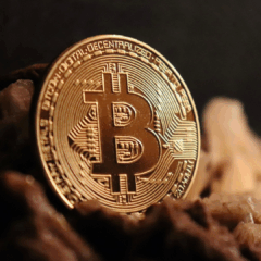 Foto: Reprodução PixaBay