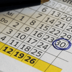 Foto: Reprodução Pixabay