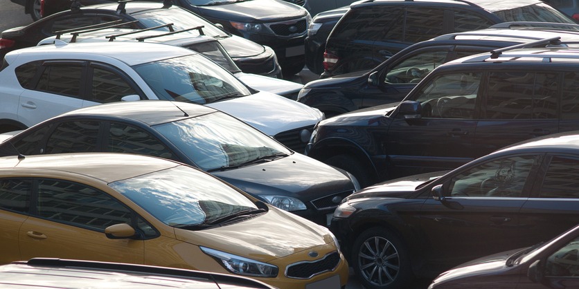 Foto: guppys/iStock
Foto: guppys/iStock