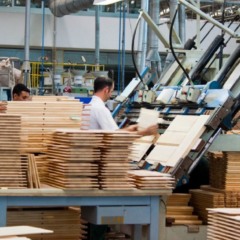 Foto: FIESC/Reprodução