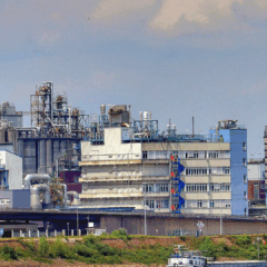 Foto: Reprodução Pixabay